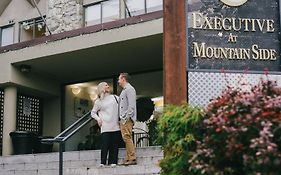 Mountain Side Hotel Whistler By Executive